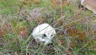 Во время прогулки в подмосковном лесу нашли одетый скелет